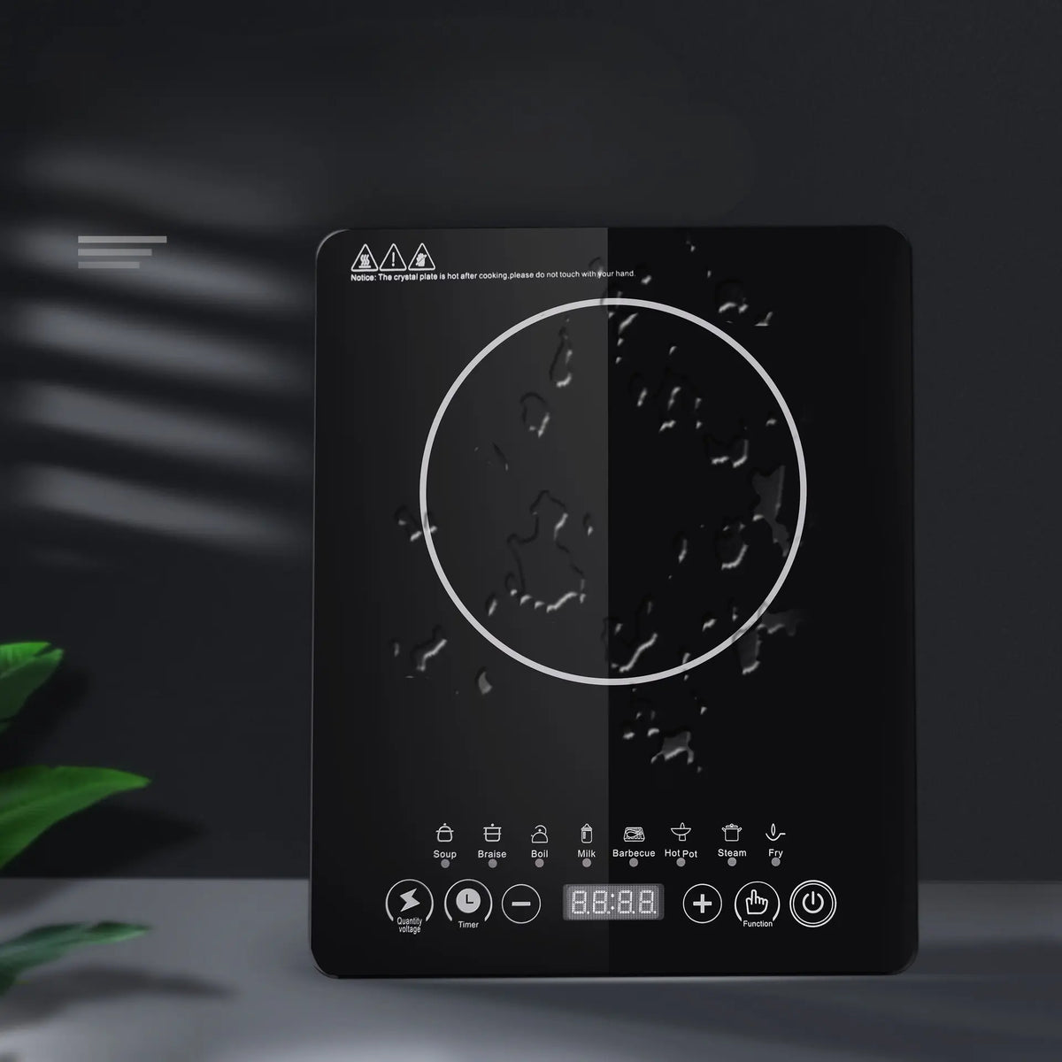 Plaque à Induction Électrique avec Minuterie