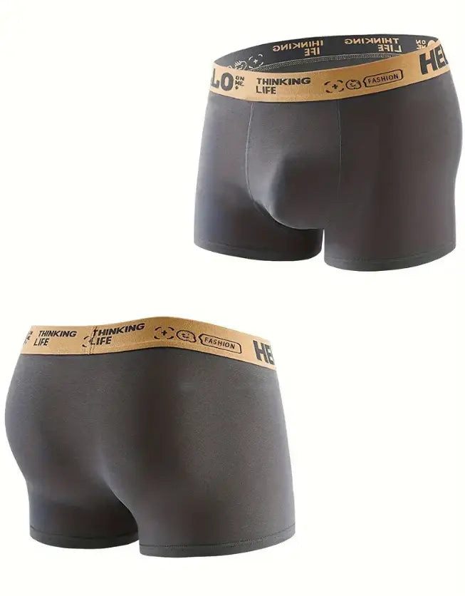 Lot de 5 Boxers Homme en Coton Doux