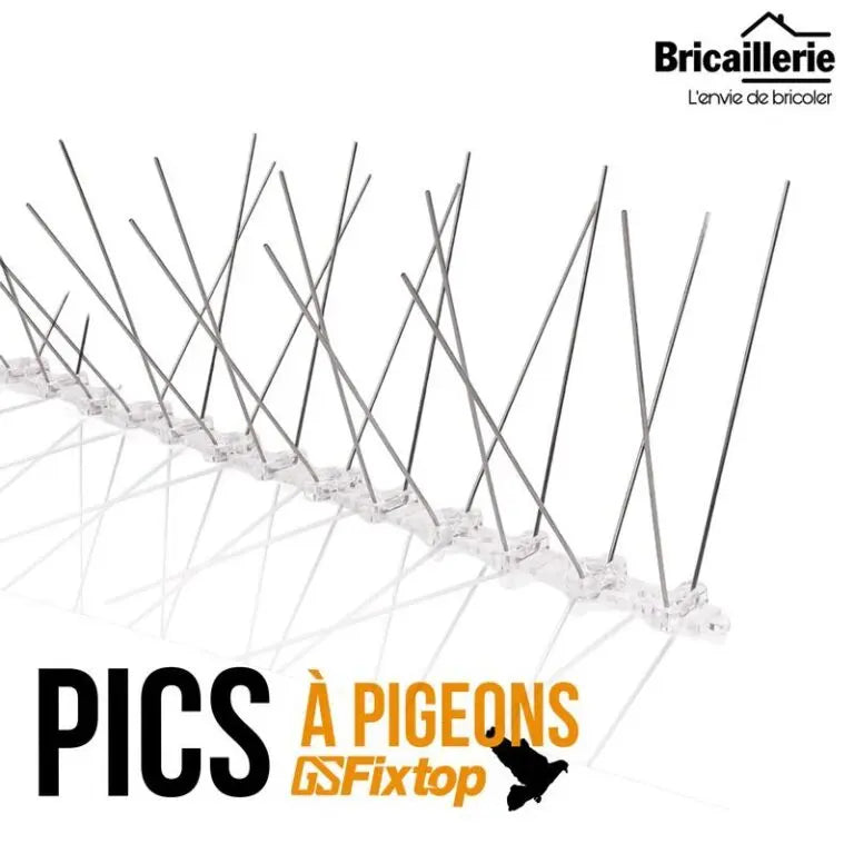 Pics de Protection Contre les Oiseaux