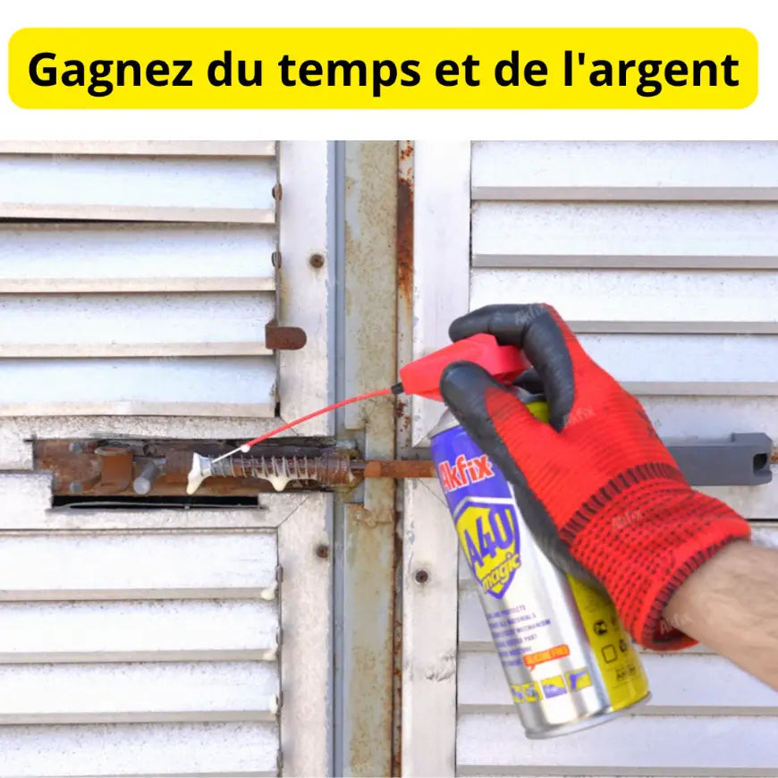 Spray Multi-Usages Lubrifiant et Protecteur