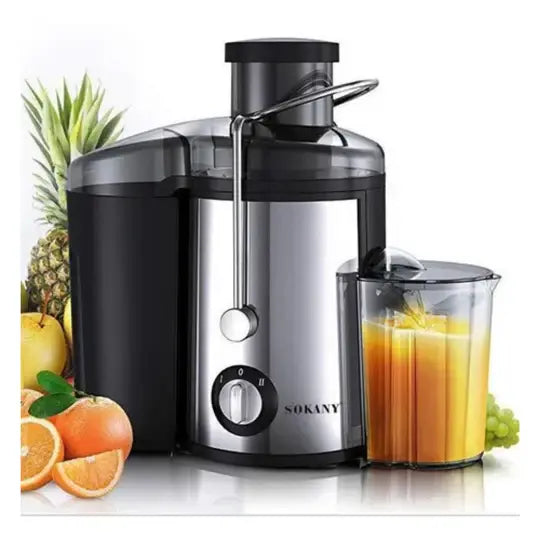 Extracteur de Jus Haute Puissance 1,2 L