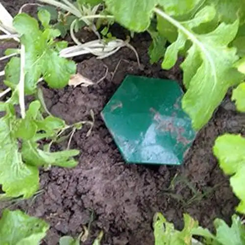 Piège Écologique à Escargots et Limaces pour Jardin