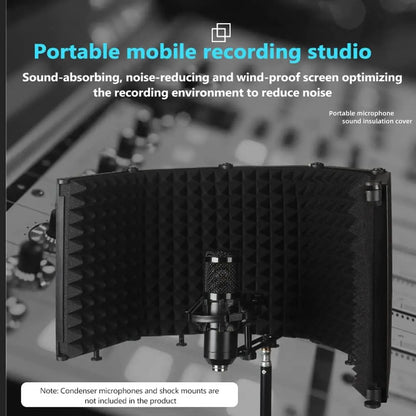 Écran Anti-Bruit pour Microphone de Studio