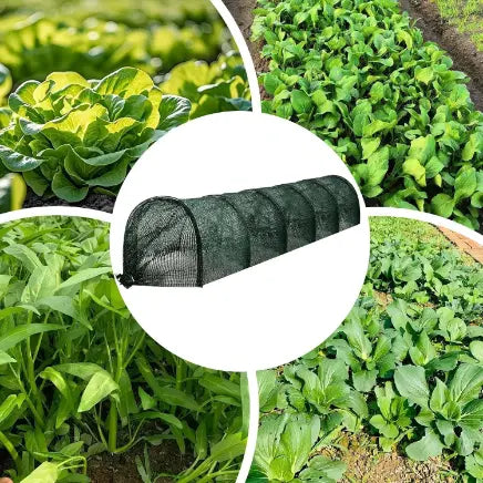 Serre de Jardin Portable 2-en-1