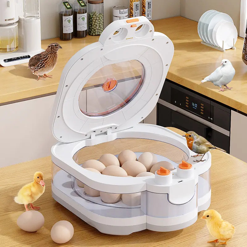 Incubateur Automatique pour Plusieurs Œufs