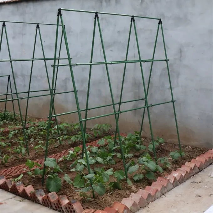 Support de Culture pour Légumes et Plantes Grimpantes