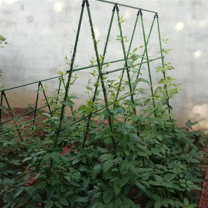 Support de Culture pour Légumes et Plantes Grimpantes