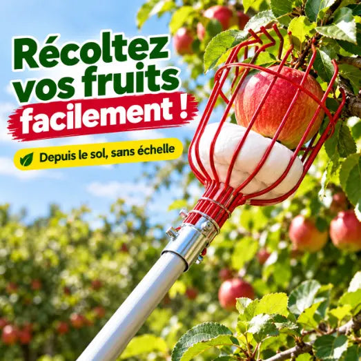 Perche Télescopique pour Récolte Fruits