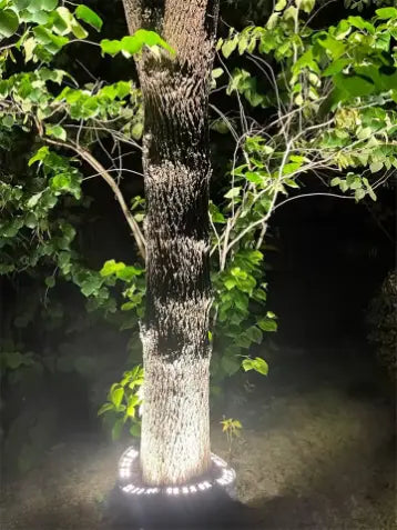 5 Lampes Colonnes LED pour Arbres et Jardins